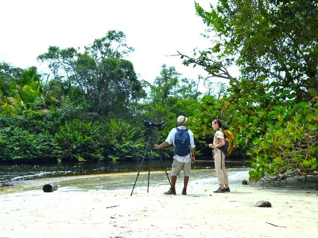 Touristen mit einem Spektiv an einem Sandstrand in der Nähe üppiger tropischer Vegetation.