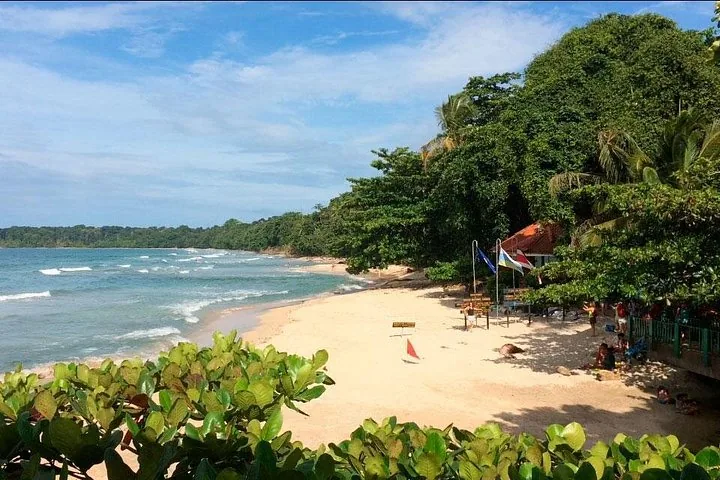 Sandstrand mit üppig grünen Bäumen und ruhigen Meereswellen im Nationalpark Cahuita